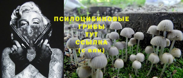соль курить ск Зеленодольск