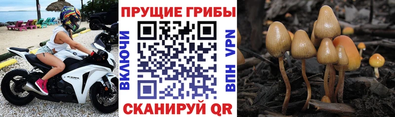 Галлюциногенные грибы MAGIC MUSHROOMS  Куса 